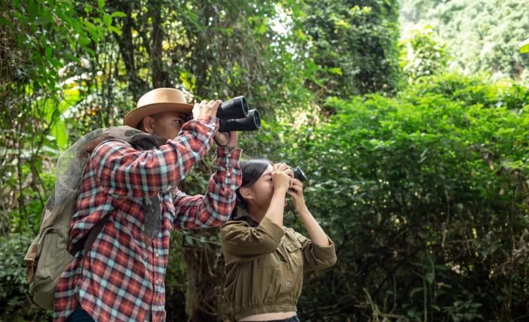 Políticas de Conservação na Amazônia: Impactos no Ecossistema